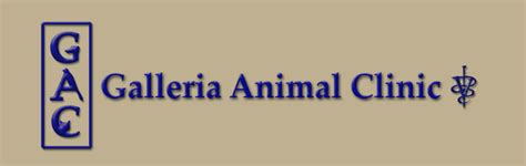 Galleria Animal Clinic Home.